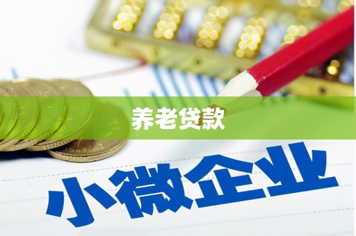 富县养老贷款