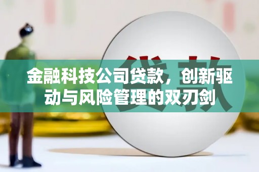 富县金融科技公司贷款，创新驱动与风险管理的双刃剑