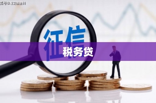 富县税务贷